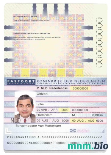 Holandia (Holandia) paszport (2006-2016) przykład w formacie PSD